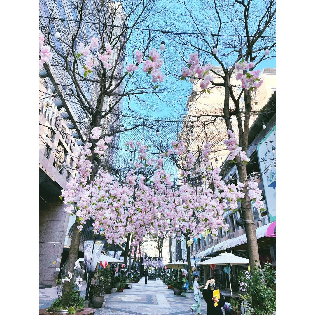 日本手作賞花祭