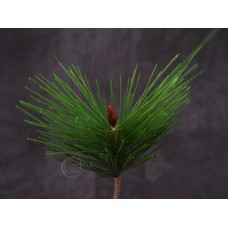 人造葉-ASCA A-74444-44松葉花插