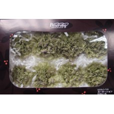 盒裝不凋花-康乃馨(綠+紫)