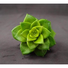 出清品 人造多肉-ASCA 人造花 A-41265-51A 石蓮花(綠)