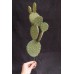 出清品人造多肉-MAGIQ  FG001606圓柱狀仙人掌 Opuntia 