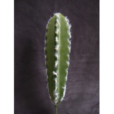 出清品 人造多肉-MAGIQ  FG001793仙人掌 Cactaceae 