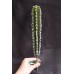 出清品 人造多肉-MAGIQ FG001794仙人掌 Cactaceae 
