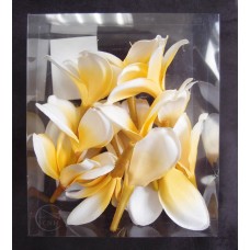 出清品人造花-MAGIQ FM008265-001梔子花 Plumeria(奶油黃)