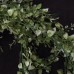 人造葉-花葉蔓常春藤