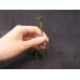 材料-不凋花枝幹(短)