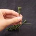材料-不凋花枝幹(短)
