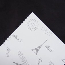 包裝-180P白底印-鐵塔(銀色)