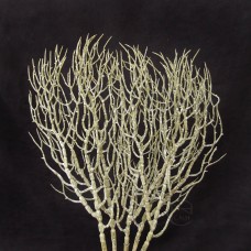 出清品 人造枝-F391-5 (綠)