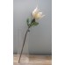 出清品人造花-ASCA A-31182-1薑花(白)