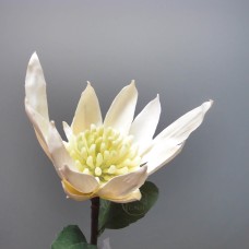 出清品人造花-ASCA A-31182-1薑花(白)