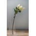出清品人造花-ASCA  A-31182-51 Ginger Lily(綠)