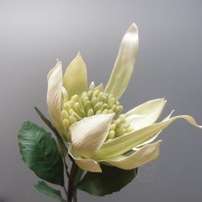 出清品人造花-ASCA  A-31182-51 Ginger Lily(綠)