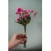 人造花-MAGIQ FM008269-012 Viola tricolor var. hortensis 三色堇花束 Pink Orchid