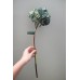 出清品人造花-MAGIQ FM008553-055TruthehyadiaiaTURQxGR