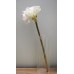出清品 人造花-MAGIQ FM100179-001 Amaryllis 孤挺花 White