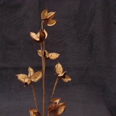 出清品人造果-ASCA A-47778-044Cotton seed pod