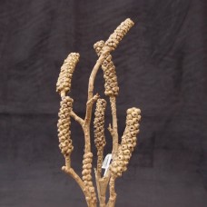 出清品人造果-ASCA A-47801-044Brush tree