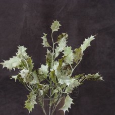 出清品人造葉-MAGIQ FX5126Abies firma冷杉