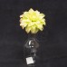 出清品 人造花-MAGIQ FM006955-023Flower PickDahliaGreen Pink Edge