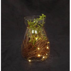 出清品玻璃花器+LED燈