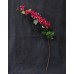 出清品 人造花-九重葛(長)桃紅