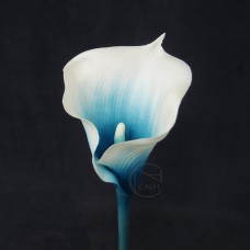 出清品人造花-ASCA A-33283-9A海芋(白藍)