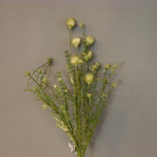 人造果-ASCA A-33478-51ALeucadendron野花灌木(綠)
