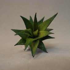 出清品 人造多肉-ASCA A-41264-51DDAgave龍舌蘭(綠)