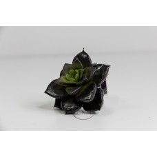 出清品 人造多肉A-42180-35E石蓮花深紫