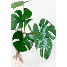 人造葉 手感電信蘭葉束 氣根