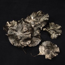 乾燥花-大地農園 Coin leaf硬幣葉香檳銀