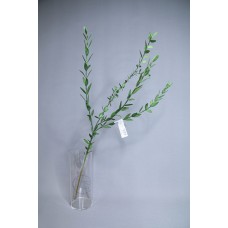 人造葉 FG002404 尖葉尤加利葉 綠