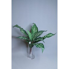 出清品 人造葉 斑馬葉束