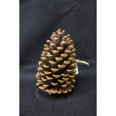 乾燥果實-松果 棕色 16-18CM