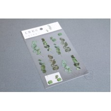 裝飾 花系列單張貼紙 尤加利葉