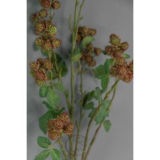 藍莓果枝 GR 137cm
