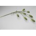 藍刺頭 7叉 137cm