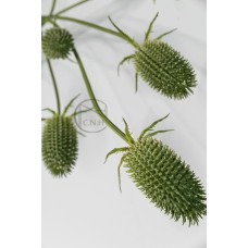 藍刺頭 7叉 137cm