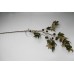 MILLET SPRAY 184cm