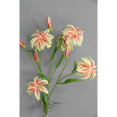 虎百合 OR GR 85cm