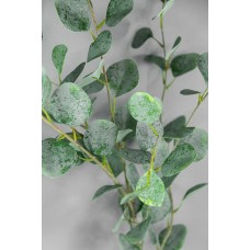 尤加利葉 GR 121cm