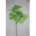 出清品芹葉長枝 99cm