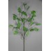 ADIANTUM SPRAY 121cm