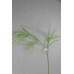 鹿角草 DK GR 132cm