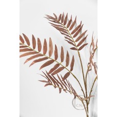 出清品棕櫚葉 DK BR 86cm