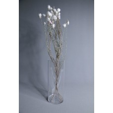 不凋花-乾燥花 17755 25g