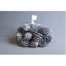 乾燥果實-松果 小 500G 銀色