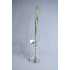 出清品 人造葉 FG9977 木賊