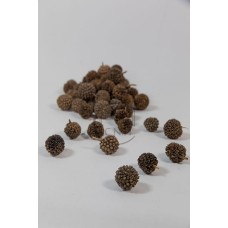乾燥果實-NATURAL CONES